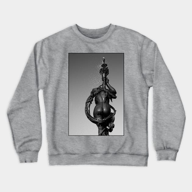 The Ross Fountain Crewneck Sweatshirt by Photo IMAGINED